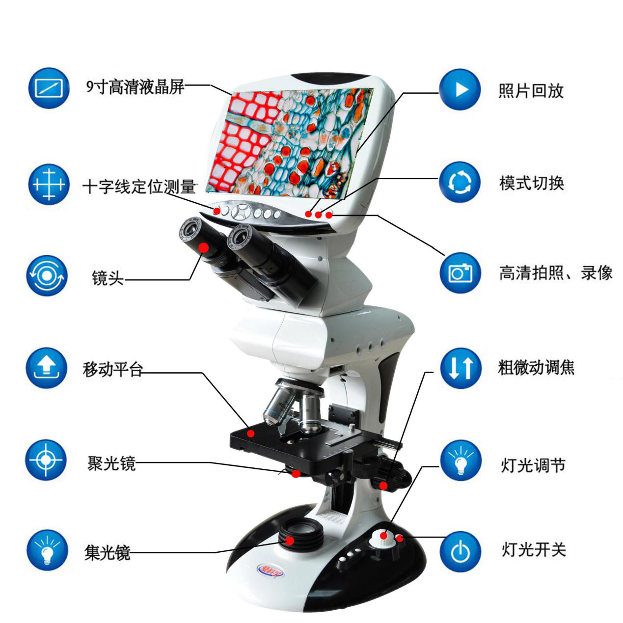 結構圖.png